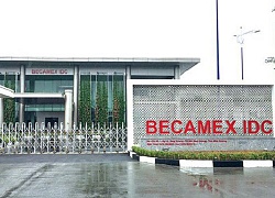 Becamex IDC (BCM) lên kế hoạch lợi nhuận giảm 65% năm 2020, trình phương án tăng vốn lên 20.000 tỷ đồng