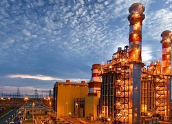 Họp ĐHĐCĐ NT2: Lợi nhuận 6 tháng ước đạt 400 tỷ đồng, hoàn thành 65% kế hoạch năm