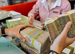 Cựu giám đốc Quỹ bảo lãnh tín dụng TP HCM lĩnh án