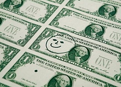 Đồng USD có thể mất giá khoảng 35% vào năm 2021
