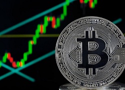 Giá Bitcoin ngày 16/6: Bitcoin trở lại đà tăng gần 100 USD/BTC