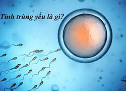 Hỗ trợ phái mạnh điều trị tinh trùng yếu và thiếu
