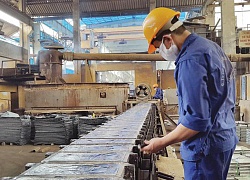 Kim loại màu Thái Nguyên Vimico (TMG) trả cổ tức năm 2019 bằng tiền, tỷ lệ 50%