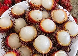 Lần đầu thấy chôm chôm Việt Nam, người nước ngoài phản ứng đầy lạ lẫm: có người còn tưởng là trái cây ngoài hành tinh