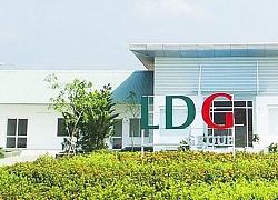 LDG điều chỉnh giảm 100 tỷ đồng kế hoạch lợi nhuận năm 2020