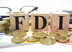 Ngày lịch sử 1 tỷ USD, Việt Nam ghi kỷ lục chưa từng có