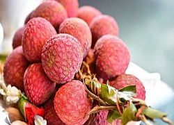 Ô tô có tài xế 'hôi' chùm vải của bà bán rong đã bán qua nhiều người