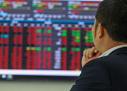 Phiên 16/6: Khối ngoại giải ngân đều tay vào HOSE và UPCoM