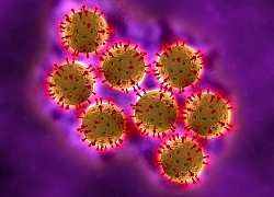 Phòng bệnh tiêu chảy cấp do virus Rota: Uống vaccine càng sớm càng tốt