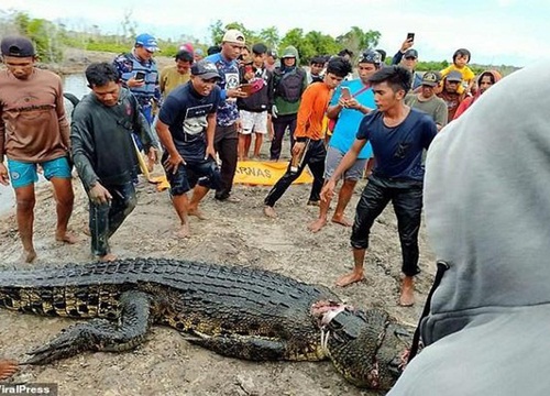 Rùng mình cá sấu khổng lồ ăn thịt người phụ nữ đi câu