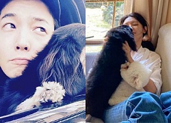 Sooyoung (SNSD) và tài tử "Hospital Playlist" Jung Kyung Ho thả nhẹ ảnh đời thường là đủ hé lộ quan hệ sau 8 năm yêu?