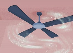 Thu nhập 11 triệu, nhờ vợ nội trợ khéo léo chi tiêu, nhà 4 người vẫn để được 3 triệu