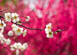 Thứ Tư của bạn (17/06): Sư Tử nên thả lỏng, Song Ngư hãy học cách tự tin hơn