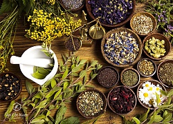 Tự ý đắp lá trị tắc tuyến sữa, sản phụ bị nhiễm trùng chảy mủ