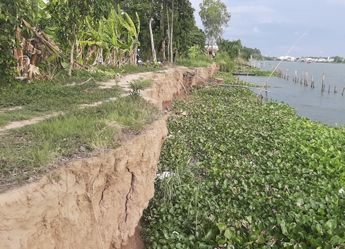 Bài cuối: Hãy cứu lấy những dòng sông!