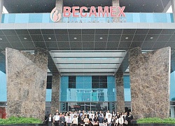 Becamex IDC đặt kế hoạch lợi nhuận giảm 65%, tăng vốn lên 20.000 tỷ đồng