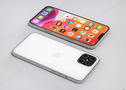 "Bộ tứ" iPhone 12 phân kỳ người dùng ở mức độ nào?