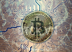 Giá Bitcoin ngày 20/6: Sàn đỏ lửa, Bitcoin tiếp tục mất giá phiên thứ 3 liên tiếp