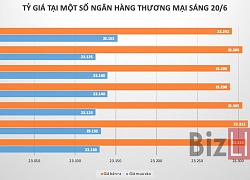 Giá USD hãm đà tăng