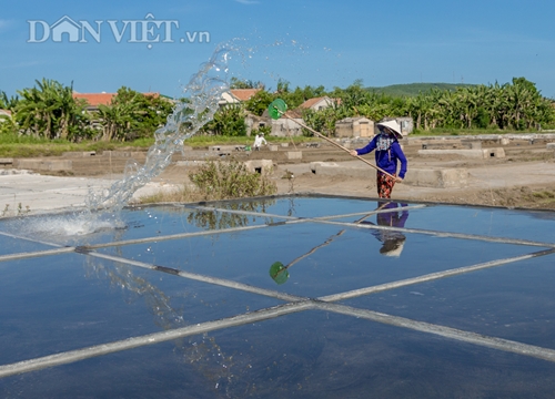 Nghệ An: Nóng hầm hập, nắng chang chang, ai cũng mệt, sao diêm dân lại "vui khỏe mỗi ngày"?