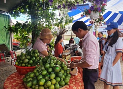 Đà Nẵng: Phiên chợ nông sản sạch mở cửa, rau xanh, quả tươi, đồ khô đều là thứ ngon