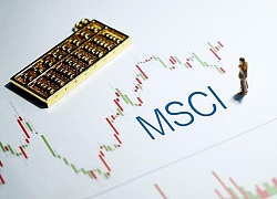 Sau 1 năm, đánh giá của MSCI về chứng khoán Việt Nam có gì thay đổi?