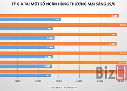 Sau chuỗi giảm liên tiếp, ngân hàng trở lại nâng giá USD