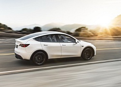 Tesla lại bị chỉ trích thậm tệ vì chất lượng sản phẩm mới