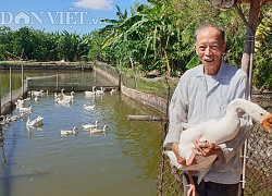 Thái Bình: Cụ thương binh cụt 1 chân, 85 tuổi vẫn "nuôi đủ thứ con", vợ ngày nào cũng có tiền