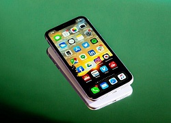 Thành tích ấn tượng của Apple cùng iOS 13 khiến Google ghen tị