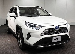 Toyota lần đầu tiên để mẫu xe RAV4 bán dưới thương hiệu Suzuki