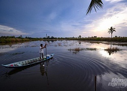 Vào miền Tây