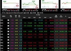 Chứng khoán hôm nay 23/6:VN-Index rung lắc và mất điểm