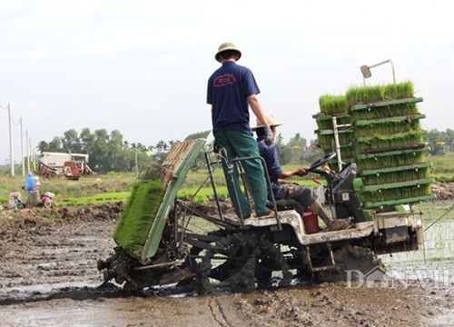 Đáng buồn: Chính sách cơ giới hóa chật hẹp, đến máy móc cũng không... thở được