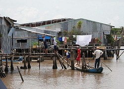 ĐBSCL: Kiên trì đưa học sinh trở lại lớp sau nghỉ dài vì dịch