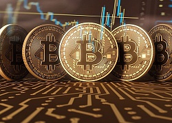 Giá Bitcoin ngày 23/6: Sắc xanh tràn ngập bảng giá tiền điện tử, Bitcoin có bước nhảy vọt về giá