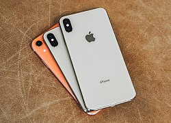 iPhone 6s trở lên sẽ được nâng cấp camera nhờ iOS 14