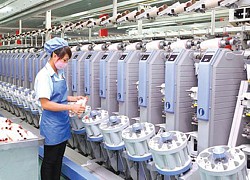 Năm 2020, dệt may Việt Nam (VGT) lên kế hoạch giảm một nửa lợi nhuận