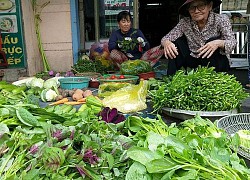 Rau xanh tăng giá mạnh