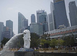 Singapore bỏ tù người Triều Tiên 'tuồn' hàng cấm về quê