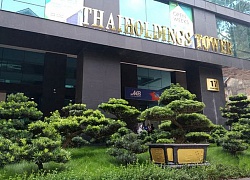 Thaiholding toan tính gì khi thâu tóm 66% vốn Thaigroup của bầu Thuỵ?