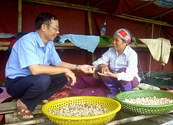 Tuyên Quang: Chàng "soái ca" nhà người ta bỏ về quê nuôi ốc nhồi mà lời 1,7 tỷ mỗi năm