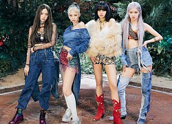 BLACKPINK mở Twitter chính thức đối đầu trực diện với "ông hoàng" BTS, nhưng chưa gì đã vượt mặt rồi?