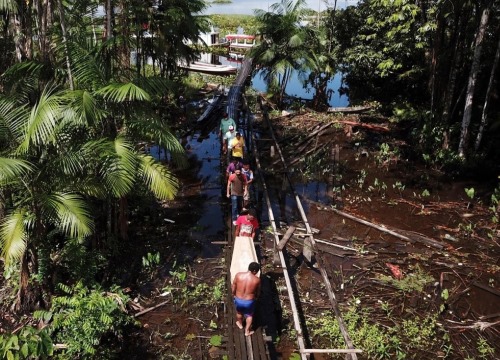 Covid-19 tàn phá cộng đồng Amazon