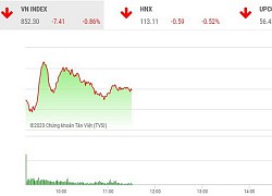 Giao dịch chứng khoán sáng 25/6: Cổ phiếu nhỏ trở lại, VN-Index vẫn chìm trong sắc đỏ