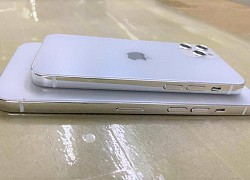 iPhone 12 sẽ có giá dưới 550 USD, ra mắt vào tháng 9?