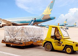 Noibai Cargo (NCT) chốt danh sách cổ đông trả cổ tức bằng tiền tỷ lệ 45%