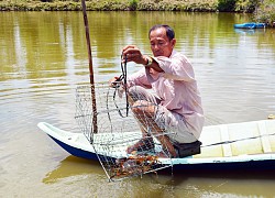 Nuôi tôm, cua "khác người", 1 nông dân tỉnh Cà Mau lãi tiền tỷ