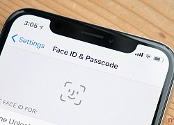 Safari cho phép xác thực Face ID và Touch ID các trang web