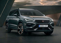 SUV hiệu suất cao, cạnh tranh với Hyundai Tucson N Line, Audi SQ5